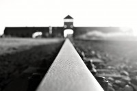 /album/fotogalerie/poslednistopa1024-jpg/